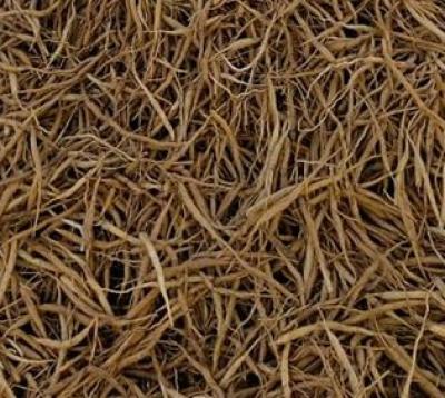 Sri Herbal Shatavari Root for Pooja ritual and Ayuverdic healing